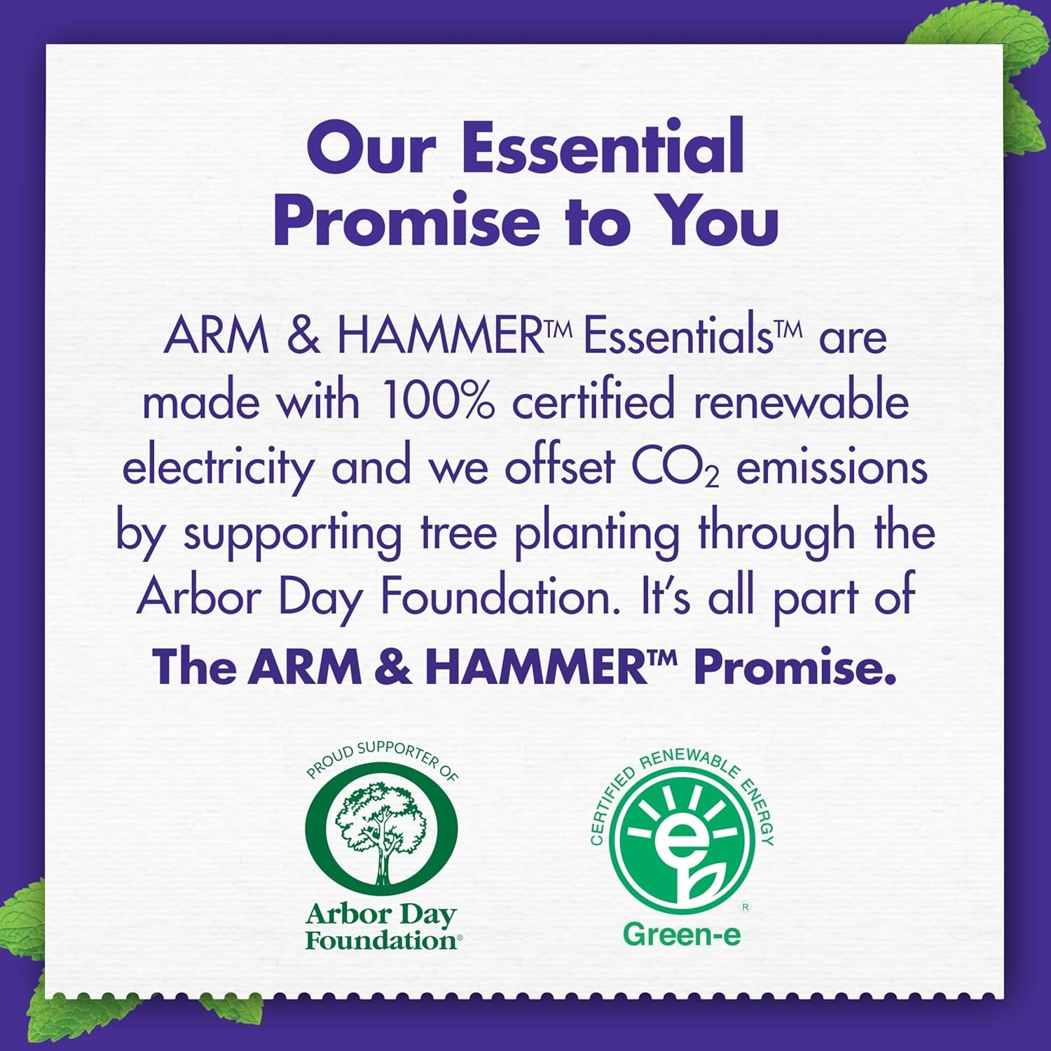 image:imageARM amp HAMMER Essentials Whiten amp Strengthen Fluoride Toothpaste4 Pack of 43oz Tubes Fresh Mint 100 Natural Baking Soda Fluoride Toothpaste