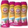 24 Ounce (Pack of 4)