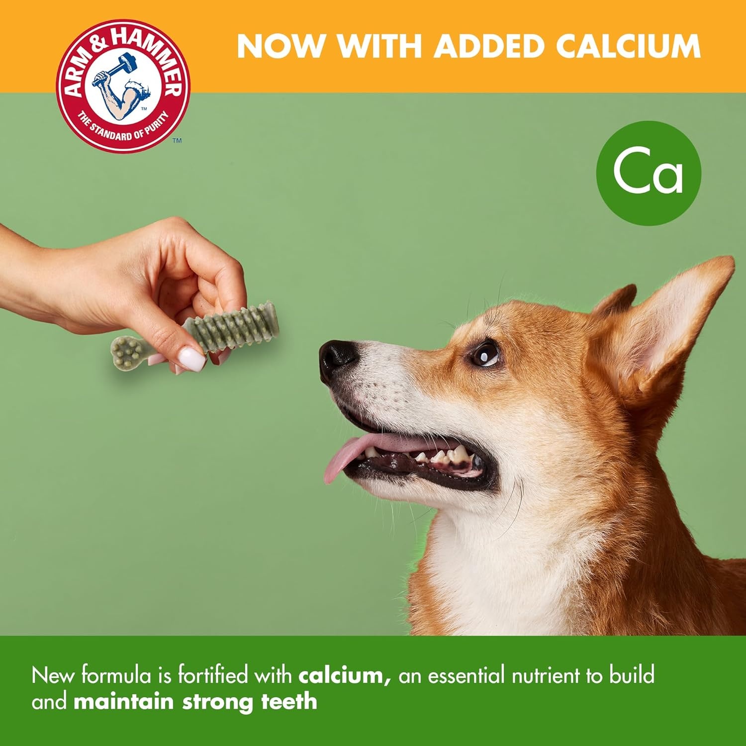 image:imageArm amp Hammer for Pets Nubbies Dental Treats Value Size Baking Soda amp Calcium Dog Dental Chews Helps Scrub Plaque amp Tartar While Chewing Chicken Flavor 139 Count 528 OzMint