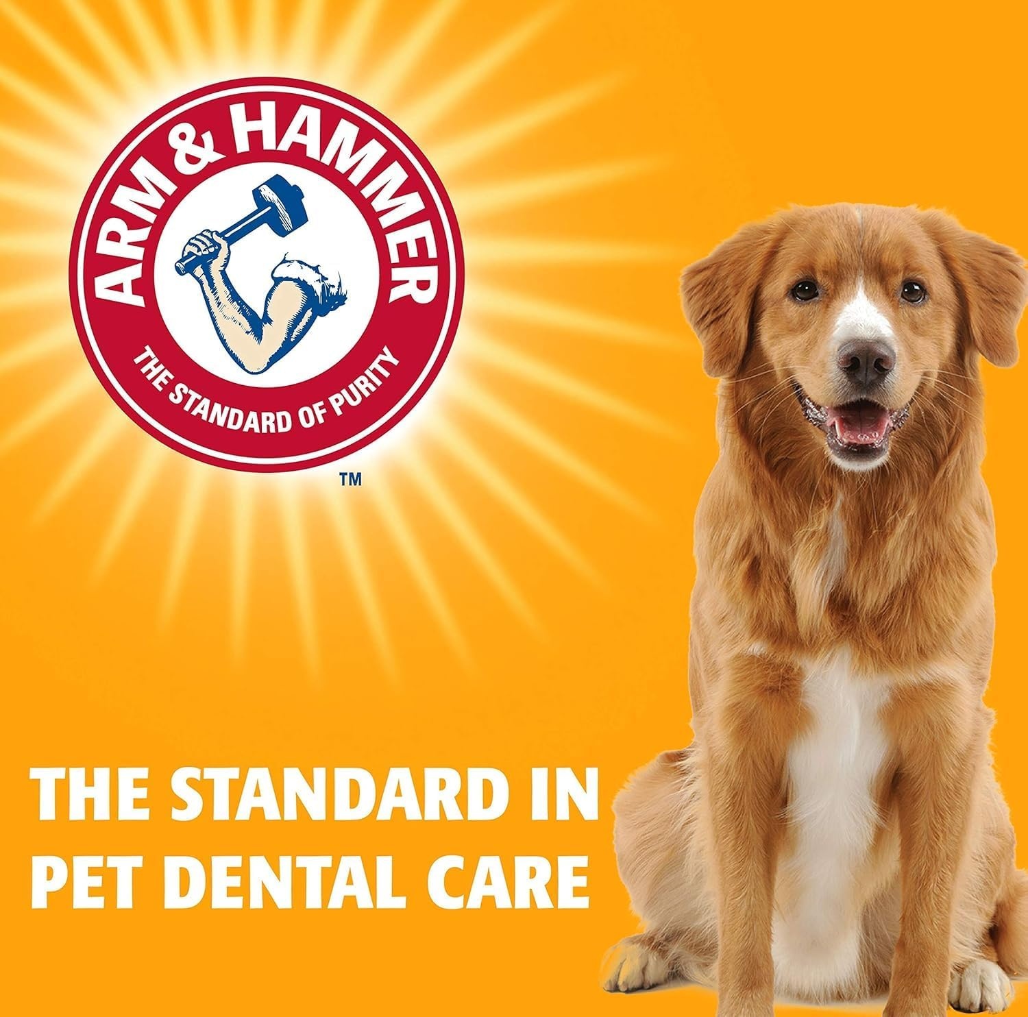 image:imageArm amp Hammer for Pets Nubbies Dental Treats Value Size Baking Soda amp Calcium Dog Dental Chews Helps Scrub Plaque amp Tartar While Chewing Chicken Flavor 139 Count 528 OzPeanut Butter