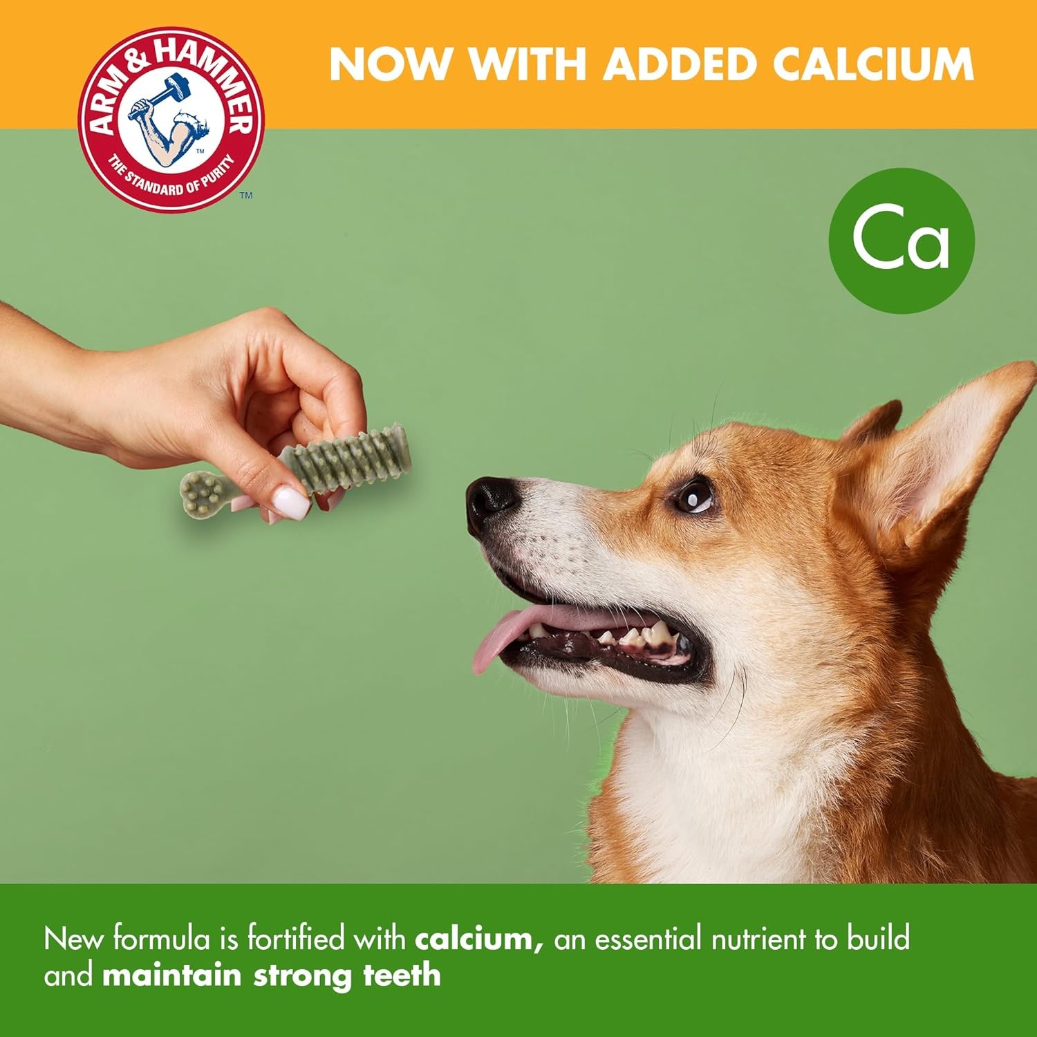 image:imageArm amp Hammer for Pets Nubbies Dental Treats Value Size Baking Soda amp Calcium Dog Dental Chews Helps Scrub Plaque amp Tartar While Chewing Chicken Flavor 139 Count 528 OzMint