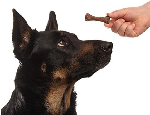 image:imageArm amp Hammer for Pets Nubbies Dental Treats Value Size Baking Soda amp Calcium Dog Dental Chews Helps Scrub Plaque amp Tartar While Chewing Chicken Flavor 139 Count 528 OzChicken